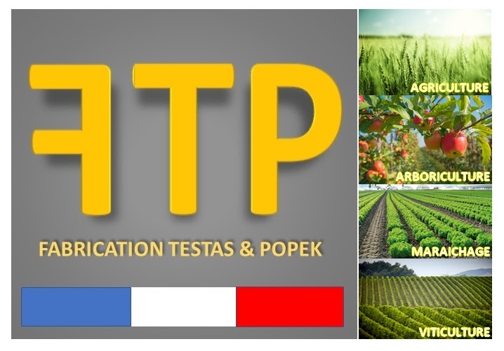 Logo testas et popek